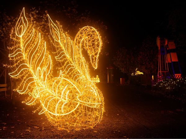 2 Tage-Auszeit - Lichterwelten, Tiere, Spiel & Spaß in Lichtenau (Sachsen) inkl. Frühstück Unkategorisiert online kaufen 2 Tage-Auszeit - Lichterwelten, Tiere, Spiel & Spaß in Lichtenau (Sachsen) inkl. Frühstück Unkategorisiert online kaufen
