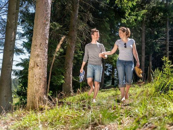 2 Tage Endlich wieder Kurzurlaub im Waldviertel inkl. 5-Gang Menü | 1 Nacht in Zwettl, Niederösterreich inkl. Halbpension Unkategorisiert online kaufen 2 Tage Endlich wieder Kurzurlaub im Waldviertel inkl. 5-Gang Menü | 1 Nacht in Zwettl, Niederösterreich inkl. Halbpension Unkategorisiert online kaufen