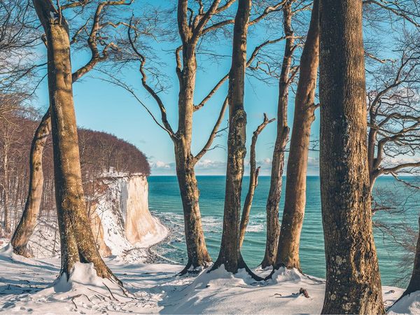 2 Tage Herbst-/ Wintertraum auf Rügen mit Abendbuffet All In in Ostseebad Breege-Juliusruh, Mecklenburg-Vorpommern inkl. Halbpension Plus Unkategorisiert online kaufen 2 Tage Herbst-/ Wintertraum auf Rügen mit Abendbuffet All In in Ostseebad Breege-Juliusruh, Mecklenburg-Vorpommern inkl. Halbpension Plus Unkategorisiert online kaufen