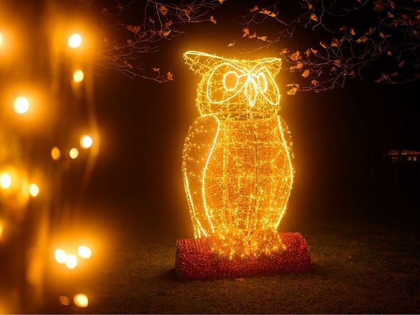 2 Tage-Kurztrip - Winterzauber im Freizeitpark inkl. Halbpension in Lichtenau (Sachsen) inkl. Halbpension Unkategorisiert online kaufen 2 Tage-Kurztrip - Winterzauber im Freizeitpark inkl. Halbpension in Lichtenau (Sachsen) inkl. Halbpension Unkategorisiert online kaufen