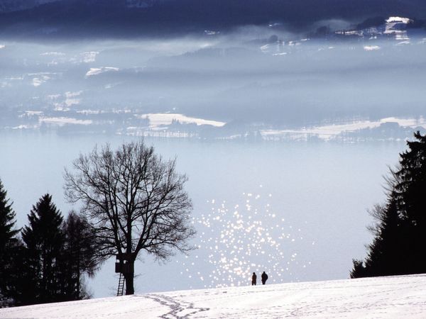 3 Tage -2 Nächte - Ihre Zeit in Au (Vorarlberg) inkl. Frühstück Unkategorisiert online kaufen