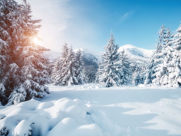 3 Tage Bayerischer Wald – Naturerlebnis zum Top-Preis in Bayerisch Eisenstein, Bayern inkl. Halbpension Unkategorisiert online kaufen 3 Tage Bayerischer Wald – Naturerlebnis zum Top-Preis in Bayerisch Eisenstein, Bayern inkl. Halbpension Unkategorisiert online kaufen