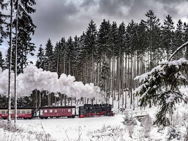3 Tage durch den Schnee-verzauberten Harz in Stadt Stolberg (Harz), Sachsen-Anhalt inkl. Halbpension Unkategorisiert online kaufen