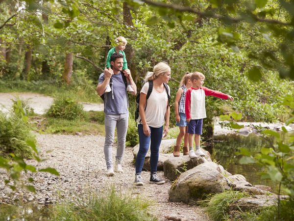 3 Tage Erholung im Erzgebirge inkl. Halbpension in Frauenstein, Sachsen inkl. Halbpension Unkategorisiert online kaufen