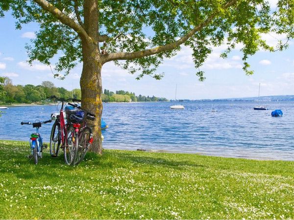 3 Tage Fahrrad-Erlebnistage nahe Bodensee und Schwarzwald in Tengen, Baden-Württemberg inkl. Halbpension Unkategorisiert online kaufen