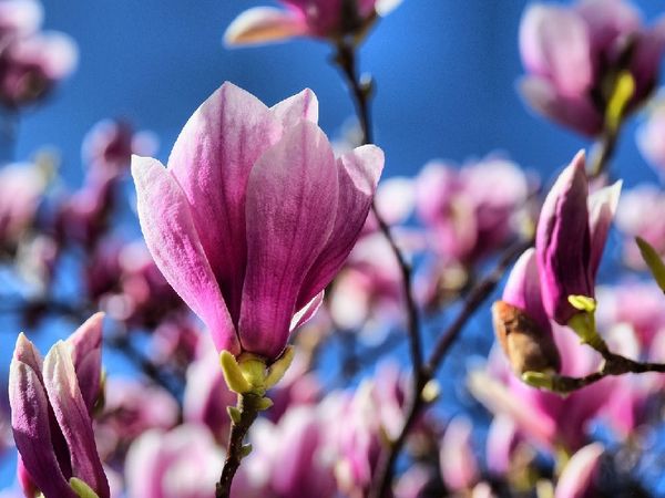 3 Tage Frühlingszauber an der Nordsee in Neuharlingersiel OT Ostbense, Niedersachsen inkl. Halbpension Unkategorisiert online kaufen 3 Tage Frühlingszauber an der Nordsee in Neuharlingersiel OT Ostbense, Niedersachsen inkl. Halbpension Unkategorisiert online kaufen