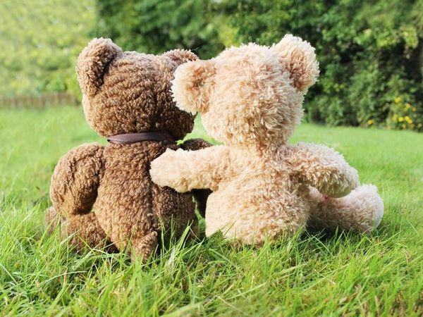 3 Tage HP+: Kuscheln und Zeit zu zweit im Panorama Hotel in Winterberg, Nordrhein-Westfalen inkl. Halbpension Plus Unkategorisiert online kaufen 3 Tage HP+: Kuscheln und Zeit zu zweit im Panorama Hotel in Winterberg, Nordrhein-Westfalen inkl. Halbpension Plus Unkategorisiert online kaufen