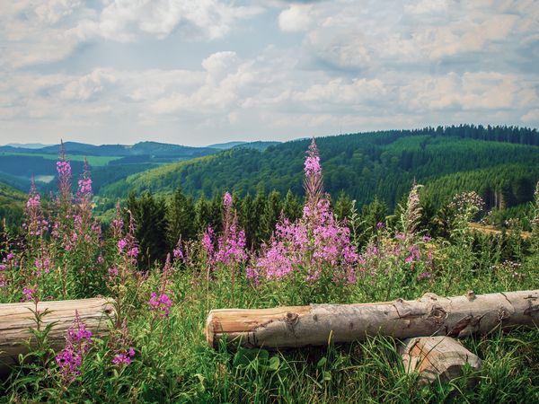 3 Tage Kurzurlaub in Astenkrone-Winterberg, Nordrhein-Westfalen inkl. Halbpension Unkategorisiert online kaufen 3 Tage Kurzurlaub in Astenkrone-Winterberg, Nordrhein-Westfalen inkl. Halbpension Unkategorisiert online kaufen