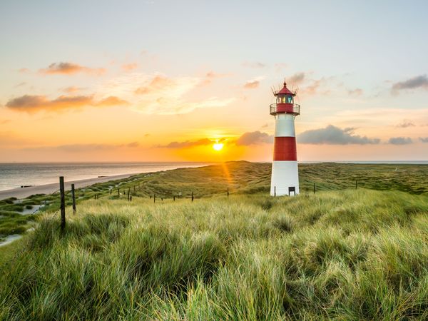 3 Tage LandWind - Winter Last Minute in Bohmstedt, Schleswig-Holstein inkl. Halbpension Unkategorisiert online kaufen
