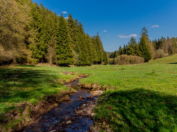 3 Tage Last-Minute Winterkurztrip im Thüringer Wald in Finsterbergen (Friedrichroda), Thüringen inkl. Halbpension Plus Unkategorisiert online kaufen