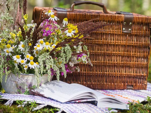3 Tage Picknick am Rhein in Bonn, Nordrhein-Westfalen inkl. Halbpension Unkategorisiert online kaufen