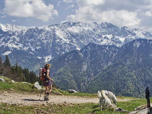 3 Tage Relaxen im Hotel Edelweiss mit HP in Hochfilzen, Tirol inkl. Halbpension Unkategorisiert online kaufen