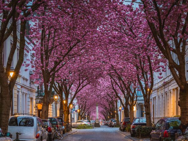 3 Tage Rheinische Auszeit in Bonn, Nordrhein-Westfalen inkl. Halbpension Unkategorisiert online kaufen 3 Tage Rheinische Auszeit in Bonn, Nordrhein-Westfalen inkl. Halbpension Unkategorisiert online kaufen