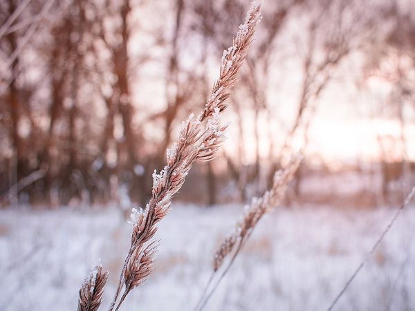 3 Tage Schneetage in Halberstadt + Dom & Kino (Jan.-März), Sachsen-Anhalt inkl. Halbpension Unkategorisiert online kaufen 3 Tage Schneetage in Halberstadt + Dom & Kino (Jan.-März), Sachsen-Anhalt inkl. Halbpension Unkategorisiert online kaufen