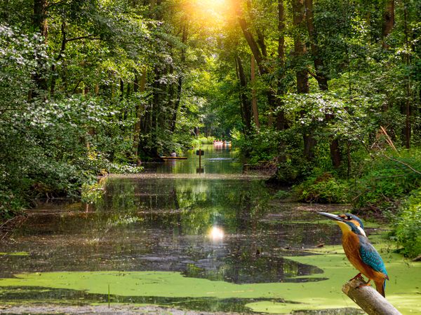 3 Tage Spreewald-Erholung & Mummel-Winter-Kahnfahrt in Lübbenau/Spreewald, Brandenburg inkl. Halbpension Unkategorisiert online kaufen