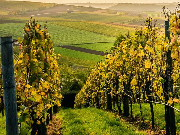 3 Tage Südburgenland Special 2026 in Stadtschlaining, Burgenland inkl. Halbpension Unkategorisiert online kaufen 3 Tage Südburgenland Special 2026 in Stadtschlaining, Burgenland inkl. Halbpension Unkategorisiert online kaufen