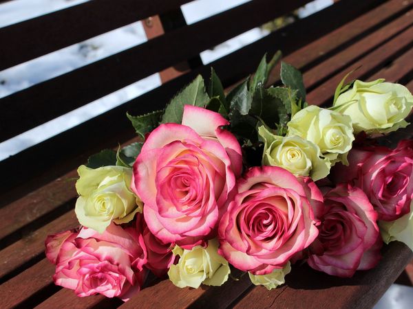 3 Tage Valentinstag im "Alten Forsthaus"! in Hürtgenwald OT Vossenack, Nordrhein-Westfalen inkl. Halbpension Unkategorisiert online kaufen