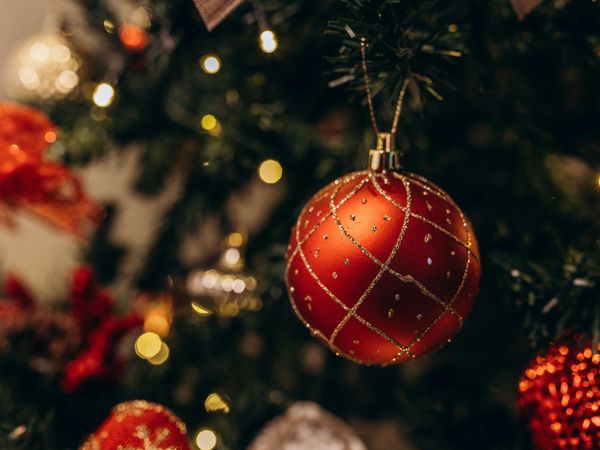 3 Tage Weihnachts-Arrangement in Halle (Westf.), Nordrhein-Westfalen inkl. Halbpension Unkategorisiert online kaufen 3 Tage Weihnachts-Arrangement in Halle (Westf.), Nordrhein-Westfalen inkl. Halbpension Unkategorisiert online kaufen