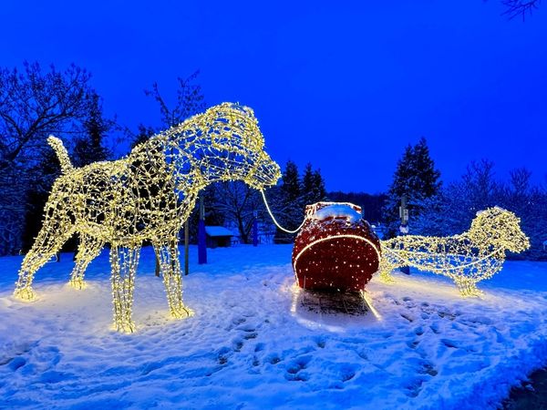 3 Tage Weihnachtsferien mit Lichterzauber in Lichtenau (Sachsen) inkl. Halbpension Unkategorisiert online kaufen 3 Tage Weihnachtsferien mit Lichterzauber in Lichtenau (Sachsen) inkl. Halbpension Unkategorisiert online kaufen