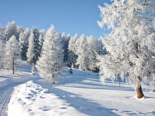 3 Tage Winter-Auszeit in Bad Schandau, Sachsen inkl. Frühstück Unkategorisiert online kaufen