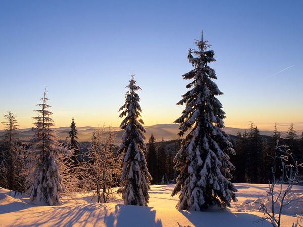 3 Tage Winter- Wohlfühl- Wellness inkl. HP Plus in Ellrich, Thüringen inkl. Halbpension Plus Unkategorisiert online kaufen