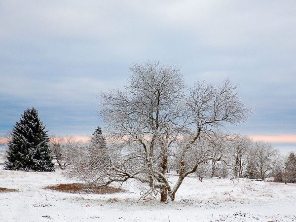 3 Tage Wintertage im Vogelsberg in Schotten, Hessen inkl. Halbpension Unkategorisiert online kaufen