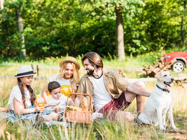 3 Tage Wufftastisch! Urlaub auf vier Pfoten im Erzgebirge in Frauenstein, Sachsen inkl. Frühstück Unkategorisiert online kaufen