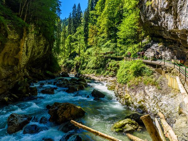 3 Tage XXL-Halbpension am Großen Arber – Ihr Rundum-sorglos-Angebot im Bayerischen Wald in Bayerisch Eisenstein, Bayern inkl. Halbpension Plus Unkategorisiert online kaufen 3 Tage XXL-Halbpension am Großen Arber – Ihr Rundum-sorglos-Angebot im Bayerischen Wald in Bayerisch Eisenstein, Bayern inkl. Halbpension Plus Unkategorisiert online kaufen