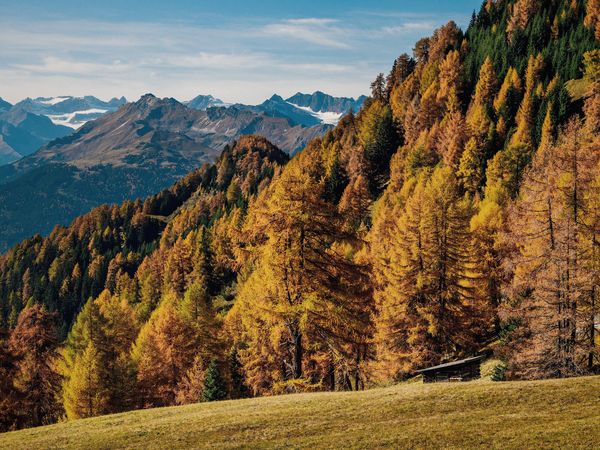 4 Tage -15 Aktion: Herbstliche Auszeit im Berghotel Wieser in Südtirol | 3 Nächte in Freienfeld, Trentino-Südtirol inkl. Halbpension Unkategorisiert online kaufen 4 Tage -15 Aktion: Herbstliche Auszeit im Berghotel Wieser in Südtirol | 3 Nächte in Freienfeld, Trentino-Südtirol inkl. Halbpension Unkategorisiert online kaufen
