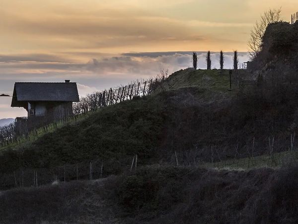 4 Tage 3=2 Special - Winterzauber am Kaiserstuhl in Gottenheim inkl. Halbpension Unkategorisiert online kaufen 4 Tage 3=2 Special - Winterzauber am Kaiserstuhl in Gottenheim inkl. Halbpension Unkategorisiert online kaufen