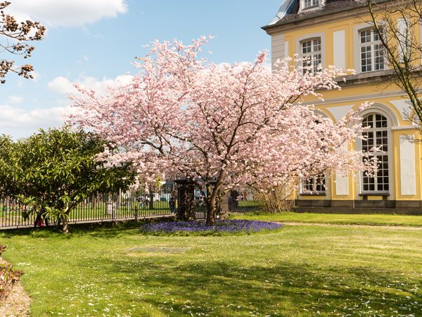 4 Tage Auszeit vom Alltag in Bonn, Nordrhein-Westfalen inkl. Halbpension Unkategorisiert online kaufen 4 Tage Auszeit vom Alltag in Bonn, Nordrhein-Westfalen inkl. Halbpension Unkategorisiert online kaufen