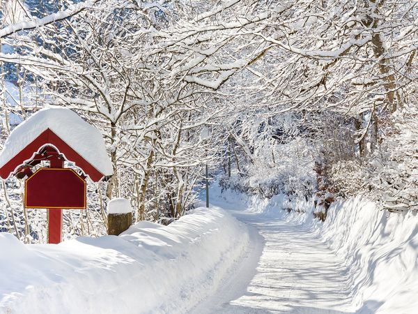 4 Tage Harz-Winterschnäppchen inkl. Halbpension Plus in Ellrich, Thüringen inkl. Halbpension Plus Unkategorisiert online kaufen