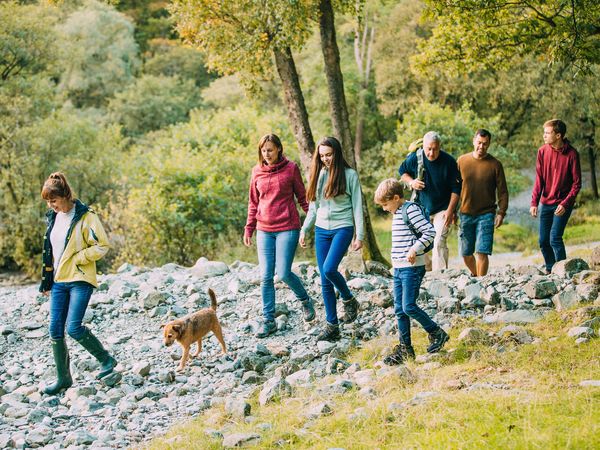 4 Tage Hundtastisch! Erholungsurlaub im alpinen Adelboden, Bern Unkategorisiert Produktbild 4 Tage Hundtastisch! Erholungsurlaub im alpinen Adelboden, Bern Unkategorisiert Produktbild