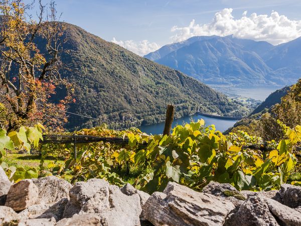 4 Tage im Kumbichlhof - Ihr Refugium im Zillertal in Mayrhofen, Tirol inkl. Frühstück Unkategorisiert online kaufen 4 Tage im Kumbichlhof - Ihr Refugium im Zillertal in Mayrhofen, Tirol inkl. Frühstück Unkategorisiert online kaufen