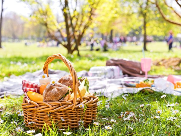4 Tage Picknick am Rhein in Bonn, Nordrhein-Westfalen inkl. Halbpension Unkategorisiert online kaufen