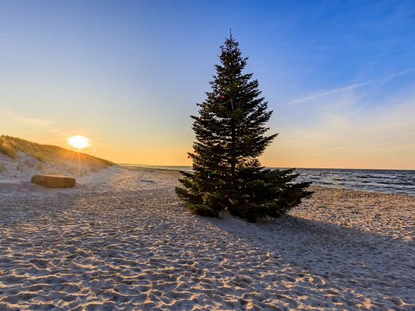 4 Tage Weihnachten an der Ostsee in Ostseebad Koserow (Usedom), Mecklenburg-Vorpommern inkl. Halbpension Unkategorisiert online kaufen 4 Tage Weihnachten an der Ostsee in Ostseebad Koserow (Usedom), Mecklenburg-Vorpommern inkl. Halbpension Unkategorisiert online kaufen