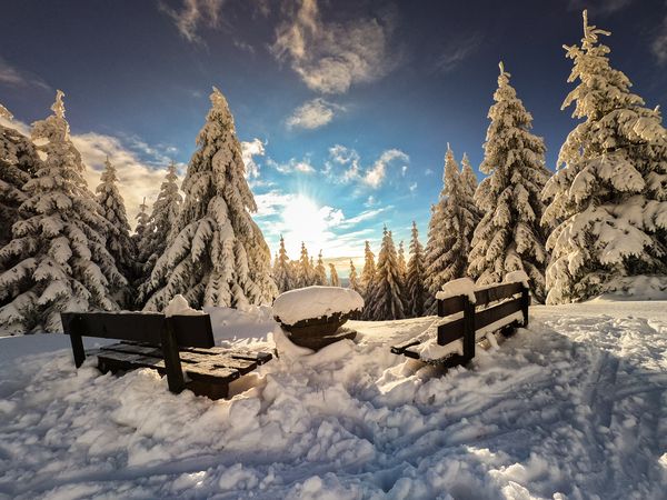 4 Tage Weihnachten in Thüringen in Apfelstädt inkl. Halbpension Unkategorisiert online kaufen