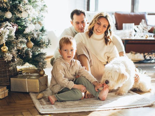 4 Tage Weihnachts-Traum im Harz in Goslar, Niedersachsen inkl. Halbpension Unkategorisiert online kaufen 4 Tage Weihnachts-Traum im Harz in Goslar, Niedersachsen inkl. Halbpension Unkategorisiert online kaufen