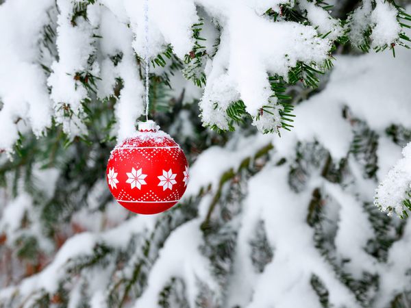 4 Tage Weihnachtszauber im Allgäu in Wiggensbach, Bayern inkl. Halbpension Unkategorisiert online kaufen 4 Tage Weihnachtszauber im Allgäu in Wiggensbach, Bayern inkl. Halbpension Unkategorisiert online kaufen