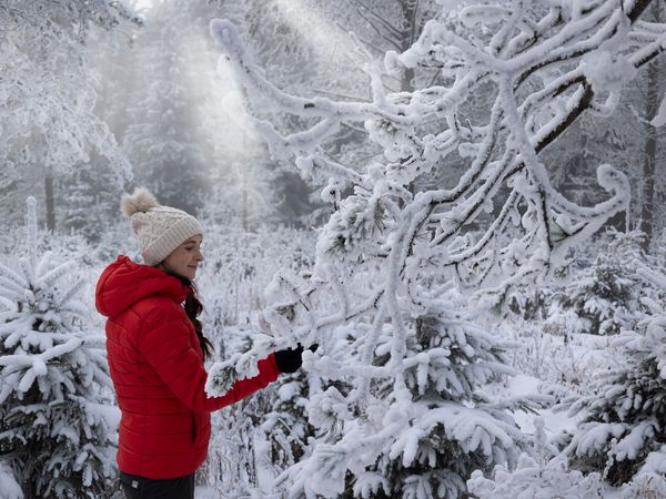4 Tage Wintermomente im Erzgebirge in Schwarzenberg/Erzgeb., Sachsen inkl. Halbpension Unkategorisiert online kaufen