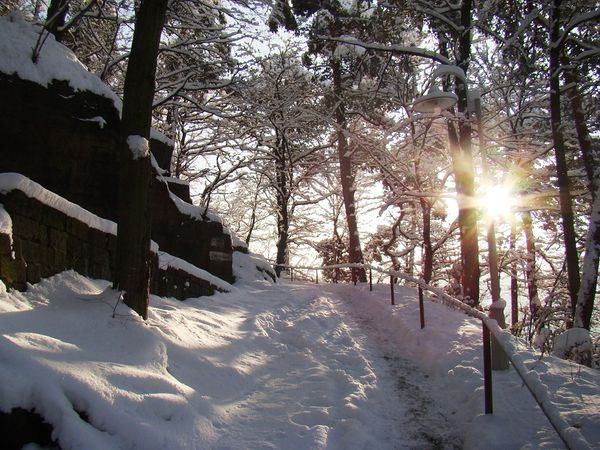 4 Tage Winterwandern in Bad Schandau, Sachsen inkl. Halbpension Unkategorisiert online kaufen 4 Tage Winterwandern in Bad Schandau, Sachsen inkl. Halbpension Unkategorisiert online kaufen