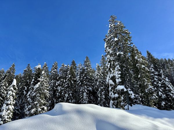 4 Tage WinterZAUBER in der Hochsteiermark | 3 Nächte in Langenwang, Steiermark inkl. Frühstück Unkategorisiert online kaufen