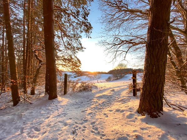 4 Tage Work & Winter - Arbeiten und Abschalten am Arber in Bayerisch Eisenstein, Bayern inkl. Halbpension Unkategorisiert online kaufen 4 Tage Work & Winter - Arbeiten und Abschalten am Arber in Bayerisch Eisenstein, Bayern inkl. Halbpension Unkategorisiert online kaufen