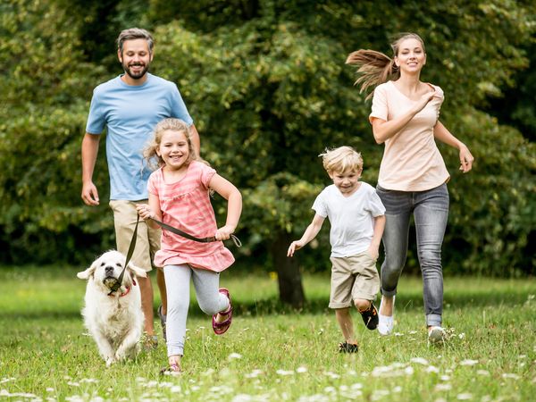 4 Tage Wufftastisch! Urlaub auf vier Pfoten im Erzgebirge in Frauenstein, Sachsen inkl. Frühstück Unkategorisiert online kaufen 4 Tage Wufftastisch! Urlaub auf vier Pfoten im Erzgebirge in Frauenstein, Sachsen inkl. Frühstück Unkategorisiert online kaufen