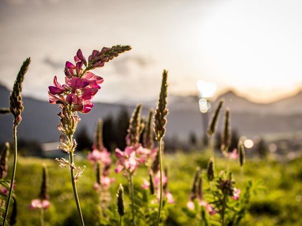 4 Tage Wutachschlucht Wander-Special in Bonndorf im Schwarzwald, Baden-Württemberg inkl. Halbpension Unkategorisiert online kaufen 4 Tage Wutachschlucht Wander-Special in Bonndorf im Schwarzwald, Baden-Württemberg inkl. Halbpension Unkategorisiert online kaufen