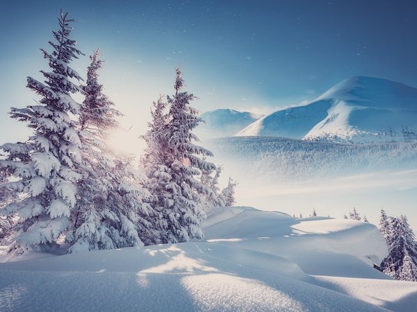 5 Tage Bayerischer Wald – Naturerlebnis zum Top-Preis in Bayerisch Eisenstein, Bayern inkl. Halbpension Unkategorisiert online kaufen 5 Tage Bayerischer Wald – Naturerlebnis zum Top-Preis in Bayerisch Eisenstein, Bayern inkl. Halbpension Unkategorisiert online kaufen