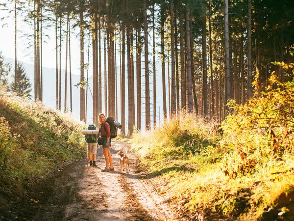 5 Tage Frühlingssonne & Tannenwipfelduft in Bonndorf im Schwarzwald, Baden-Württemberg inkl. Halbpension Unkategorisiert online kaufen