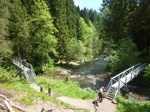 5 Tage Frühlingssonne & Tannenwipfelduft in Bonndorf im Schwarzwald, Baden-Württemberg inkl. Halbpension Unkategorisiert online kaufen