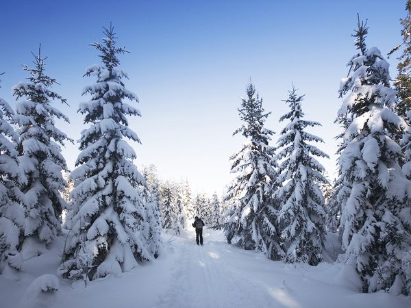 5 Tage Last-Minute Winterkurztrip im Thüringer Wald in Finsterbergen (Friedrichroda), Thüringen inkl. Halbpension Plus Unkategorisiert online kaufen