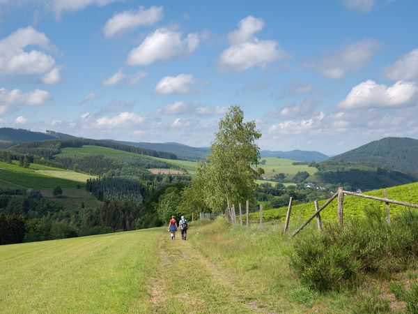 5 Tage Ruhe & Erholung im Sauerland - in Winterberg, Nordrhein-Westfalen inkl. Halbpension Unkategorisiert online kaufen 5 Tage Ruhe & Erholung im Sauerland - in Winterberg, Nordrhein-Westfalen inkl. Halbpension Unkategorisiert online kaufen